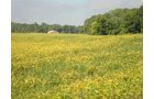 Property photo 3 - 133+/- Acres Offered in 4 Tracts - Farmland, Hunting & Recreation or Future Building Sites